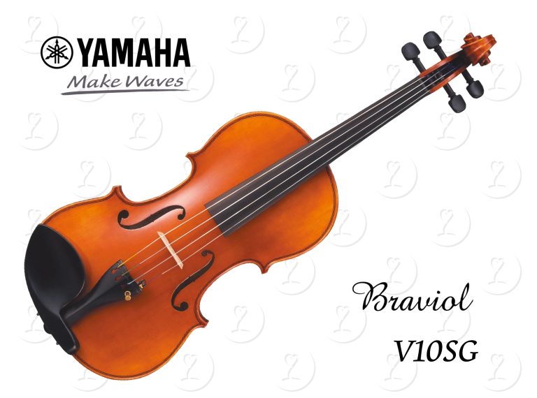 violin.v10sg
