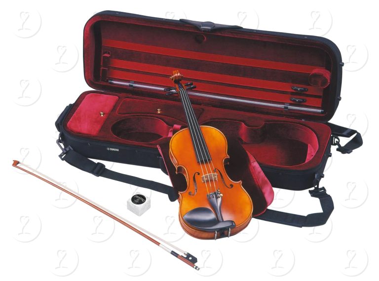 violin.v10sg(2)