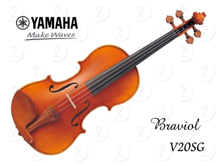violin.v20sg