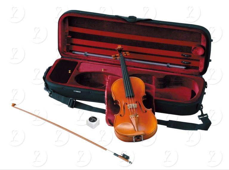 violin.v20sg(2)