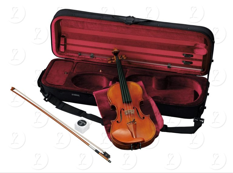 violin.v25sg(2)