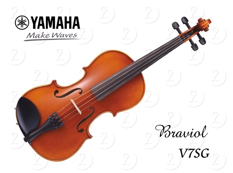 violin.v7sg