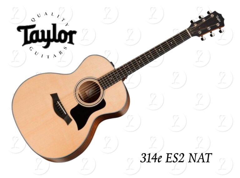 guitar.314ees2nat