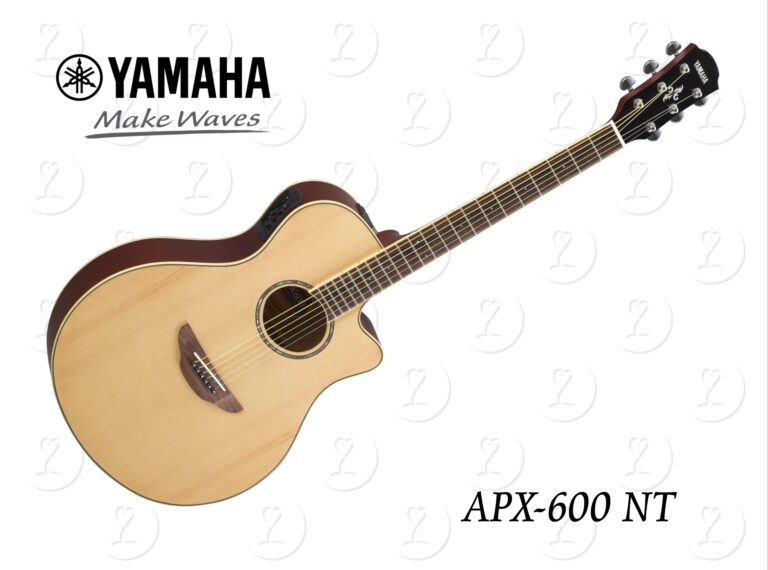 guitar.apx600nt