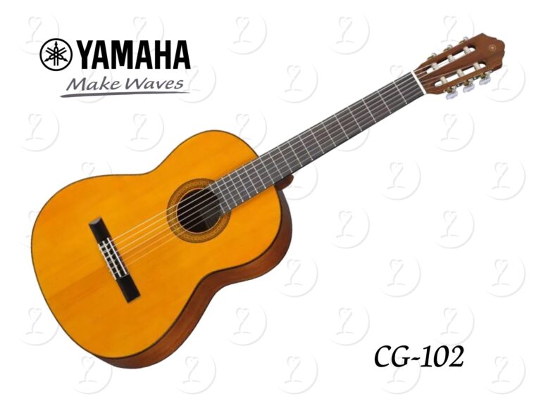 guitar.cg102