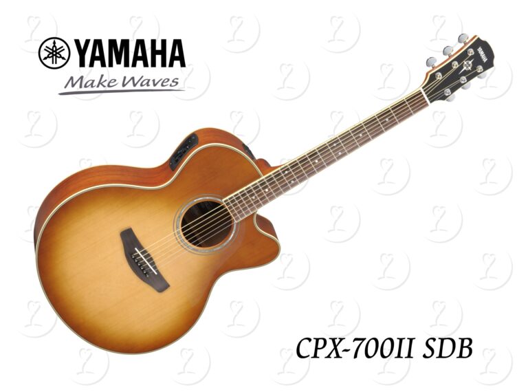 guitar.cpx700-2sdb