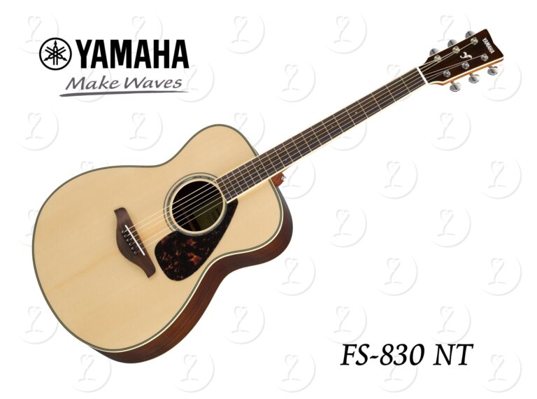 guitar.fs830nt