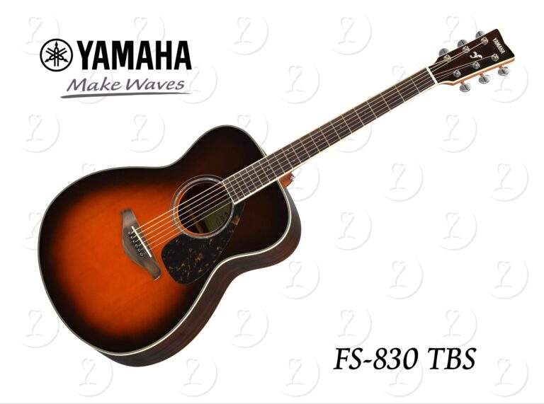 guitar.fs830tbs