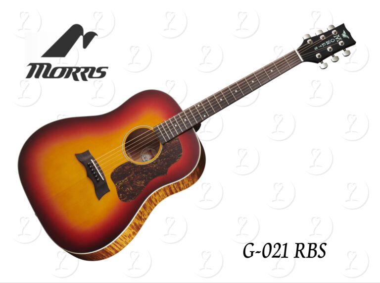 guitar.g021rbs