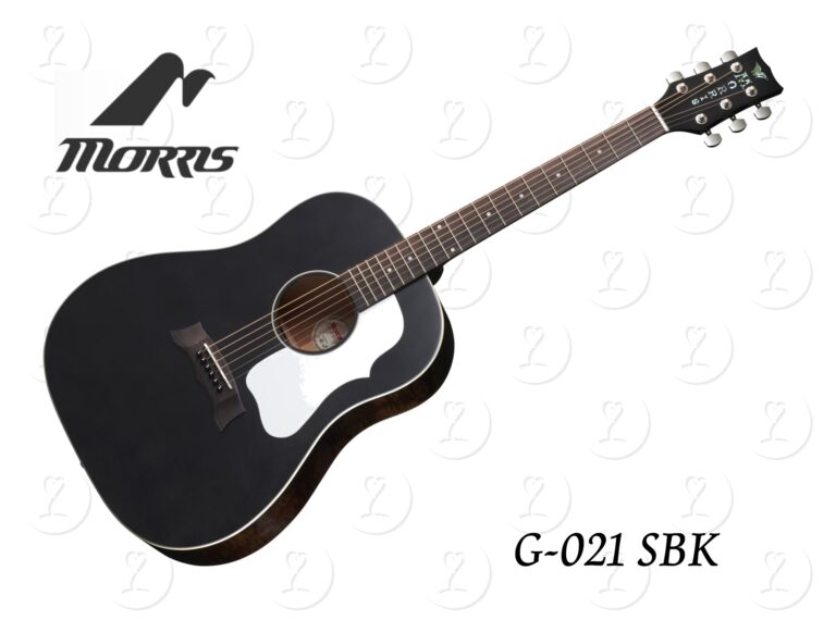 guitar.g021sbk