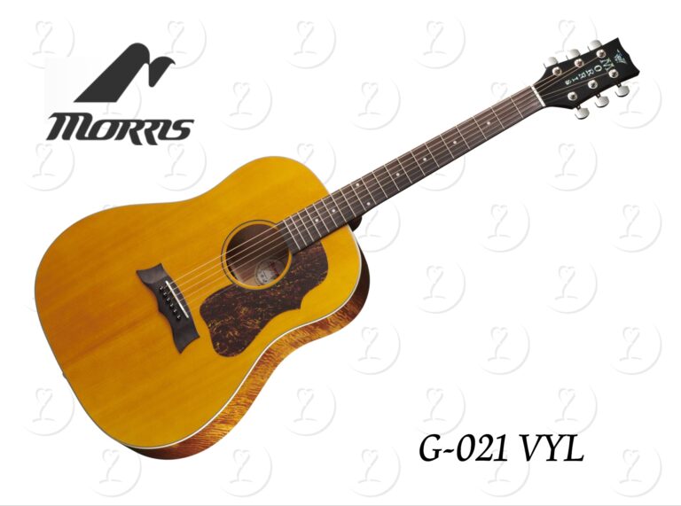 guitar.g021vyw