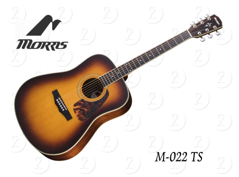 guitar.m022ts